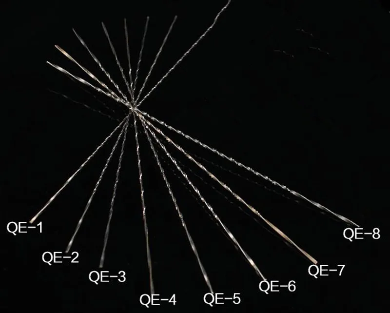 36020170718113150336_