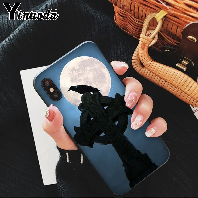 Crow sat on the skull and raven on a moonlight