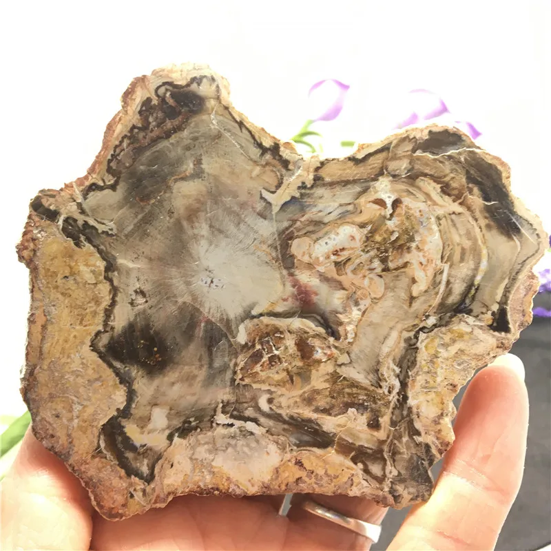 003 (8)