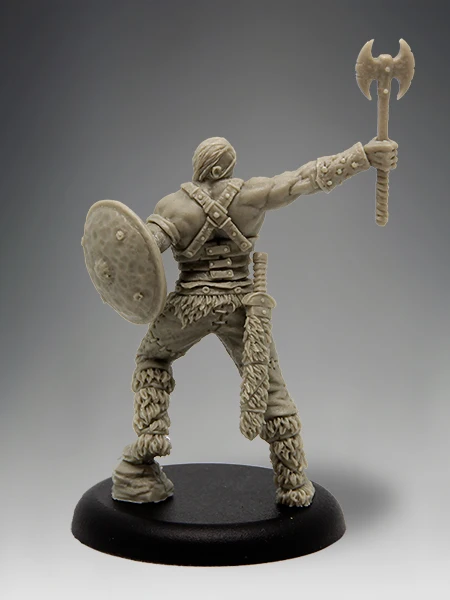 Barbarian Champion With Options 04