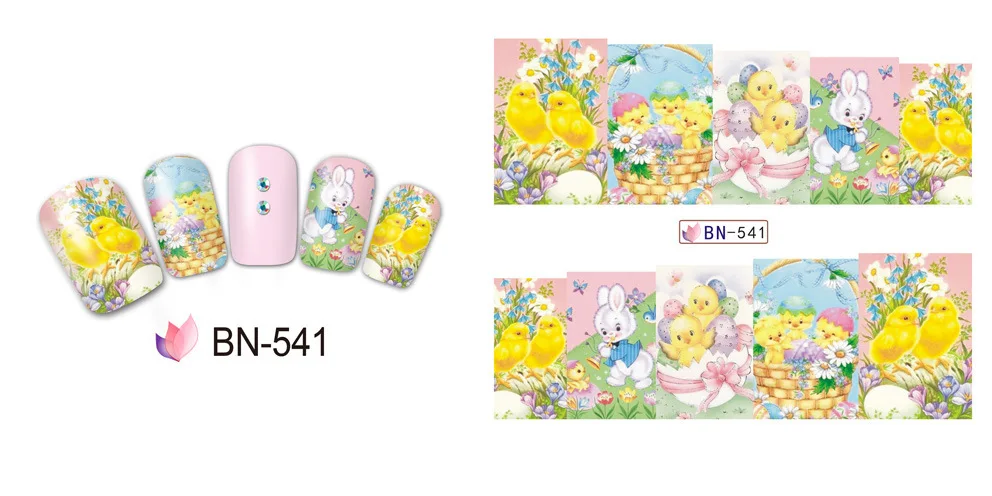 BN541