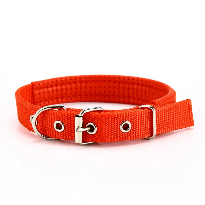 dog collar for dogs (1)