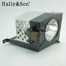 Hally & Fils Compatible lampe D95-LMA/23311168 pour 62CM9UA/72CM9UA/62CM9UE Livraison Gratuite 150 JOURS de Garantie