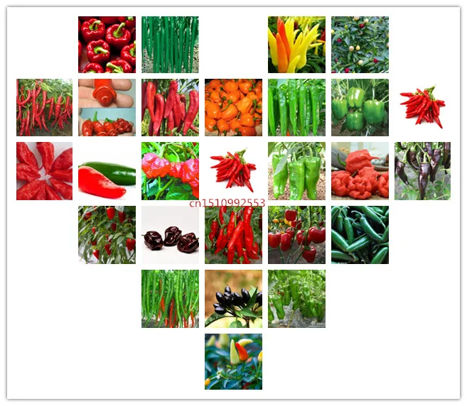 

High Quality 100 Pcs Mixed pepper Bonsai Concentrated Flavor Tender Crisp Green Vegetable Plants Small Home Garden Cultivation