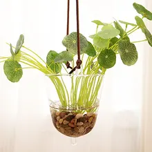 Mkono Hanging Glass Vase Transparent Hydroponic Plant Container Terrarium Flower Pot for Garden Home Indoor Decoration
