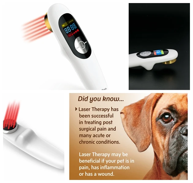 

Small size laser acupuncture home laser pain relief with 808nm and 650nm