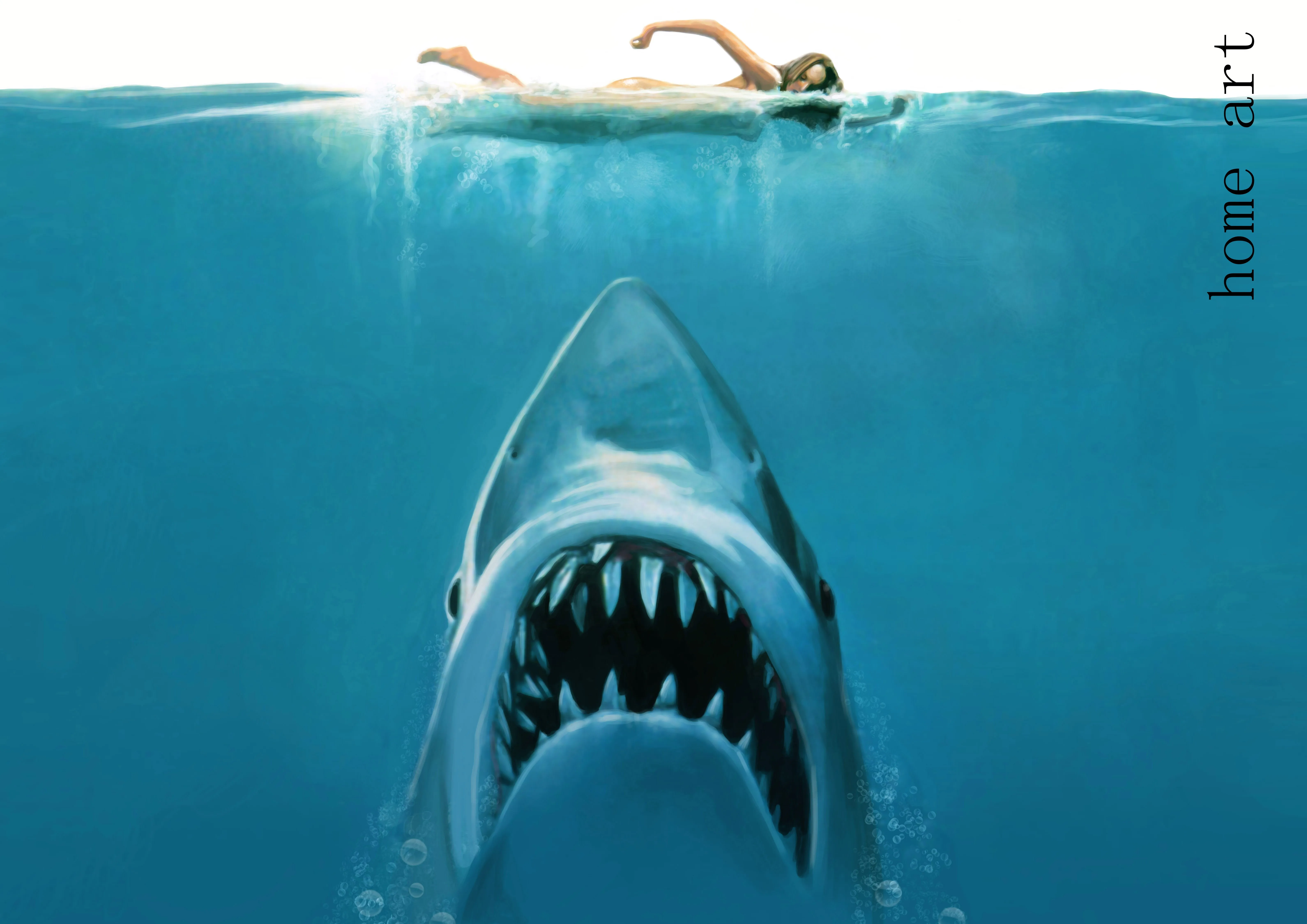 дельфин vs акула. акулы боятся пузырьков правда. акулы боятся пузырьков правда. тест акула. почему дельфины не боятся акул.