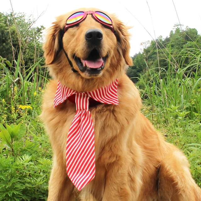 TAILUP Fashion Dog Accessories Pet Bow Tie For Golden Retriever Large