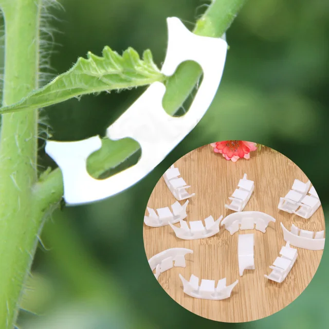 100Pcs Plant Fastener Clip for Tomatoes Vines Vegetable Plant Clamps Farming Clip Vine Bushes Greenhouse Garden Tool