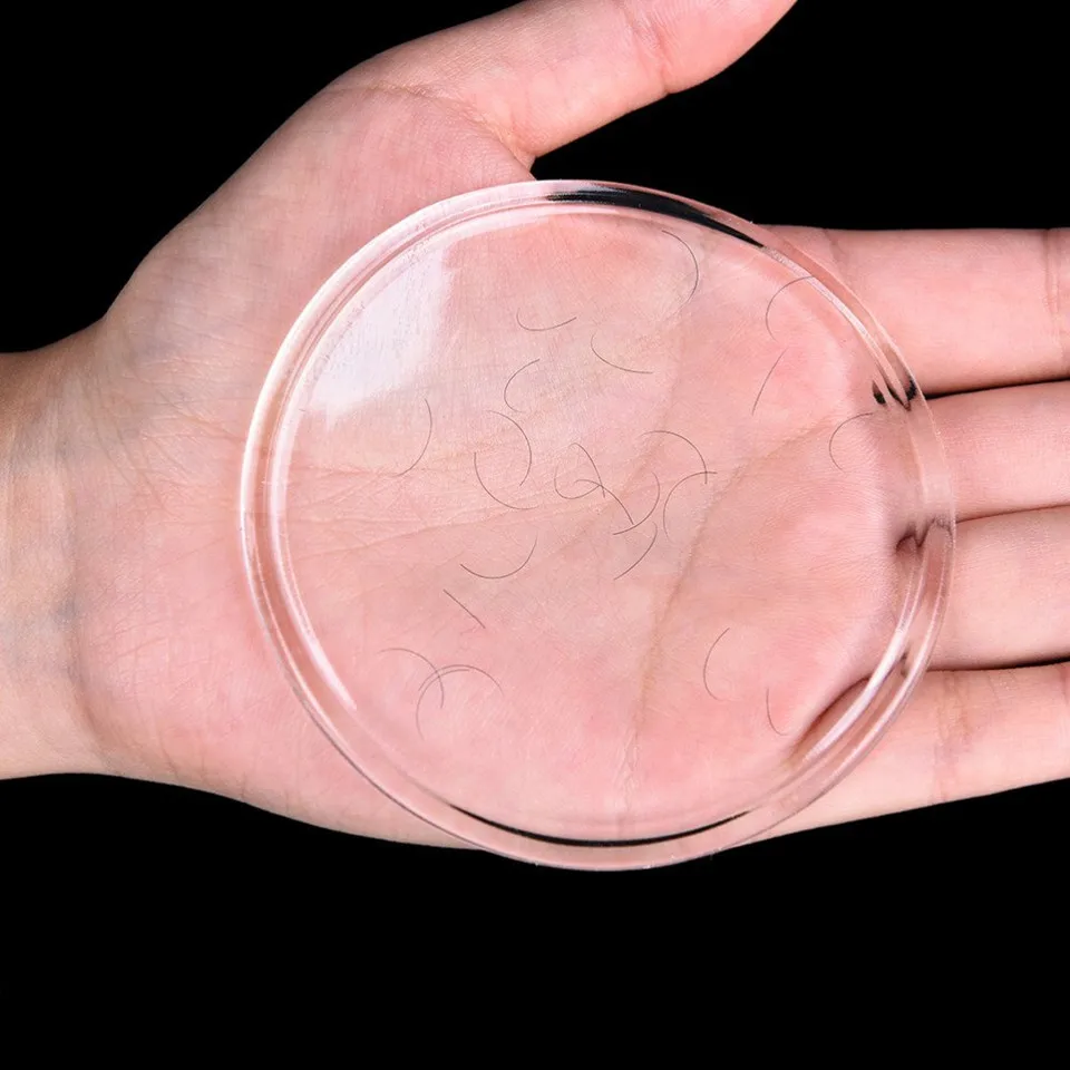 Eyelash Holder Silicones Transparet