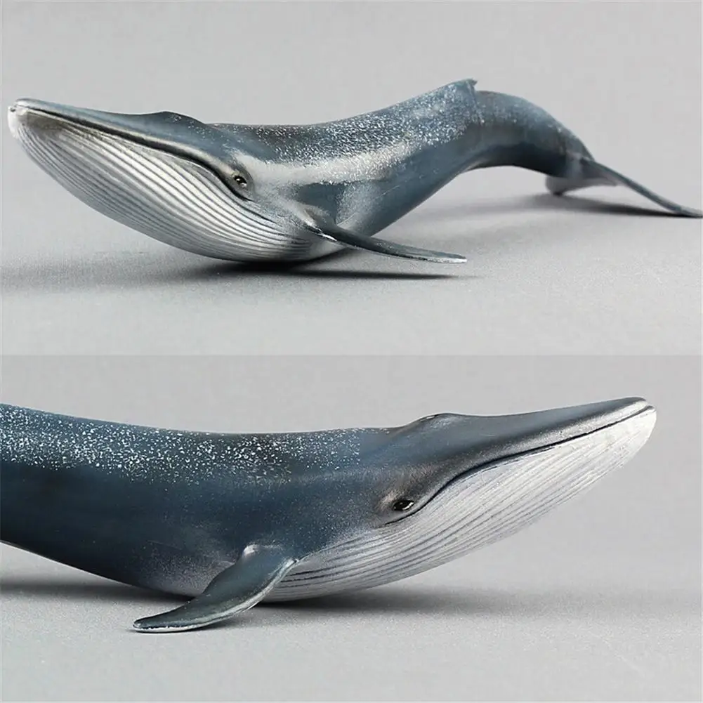 Большой океан sealife животные Emulational синий кит Кит Акула животная модель игрушка