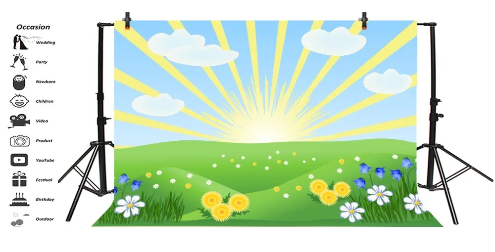 Laeacco Cartoon Grassland Flowers Clouds Sunrise Baby Photography Backgrounds Customized Photographic Backdrops For Photo Studio