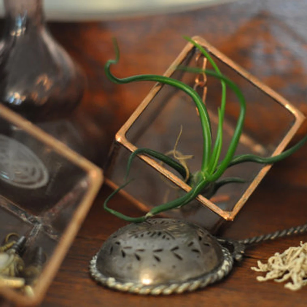 Stained Glass Ring Holder Glass Display Box silver or copper eco