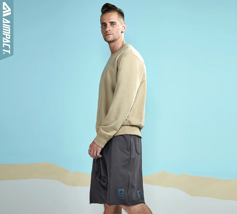 Aimpact 2017 New Autumn Causal Men Sweatshirts Cotton Hoodies (2)