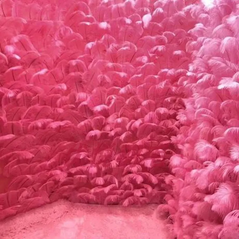 O1CN011udz1NmEkvJ5q5m_!!2250546061_