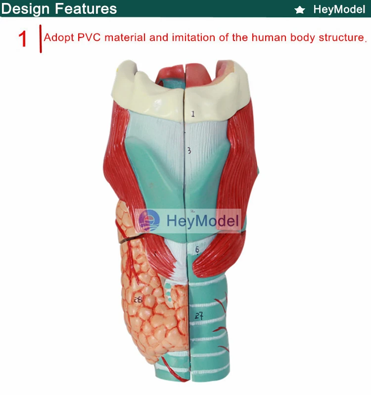 1.PVC_