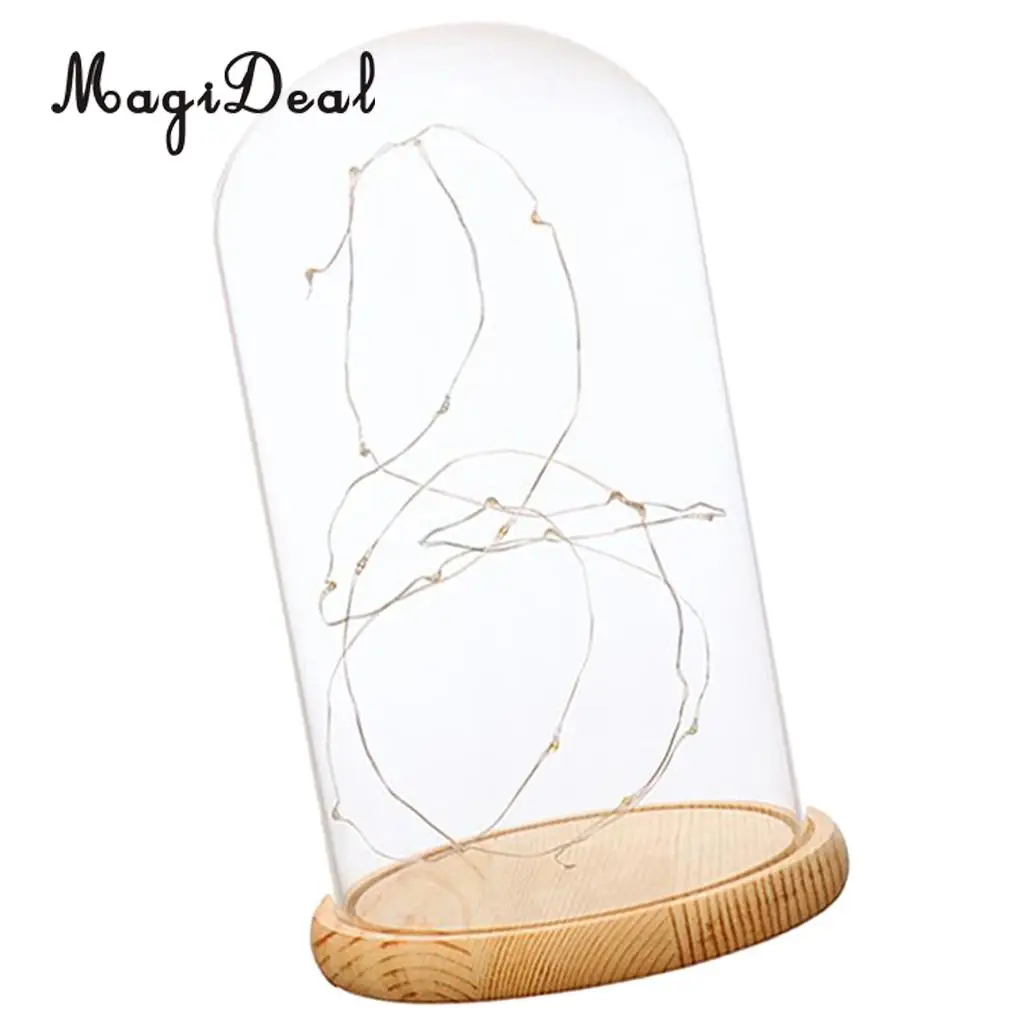 Glass Display Dome Cloche With Suspended LED Lights Tabletop Lamp Wedding Holiday Decor Crafts