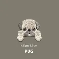 PUG