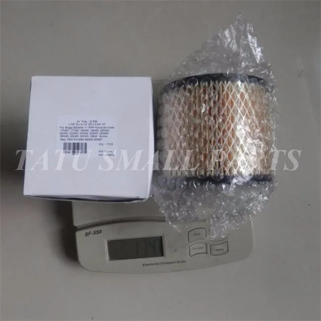 AIR FILTER Briggs&Stratton 390930 8