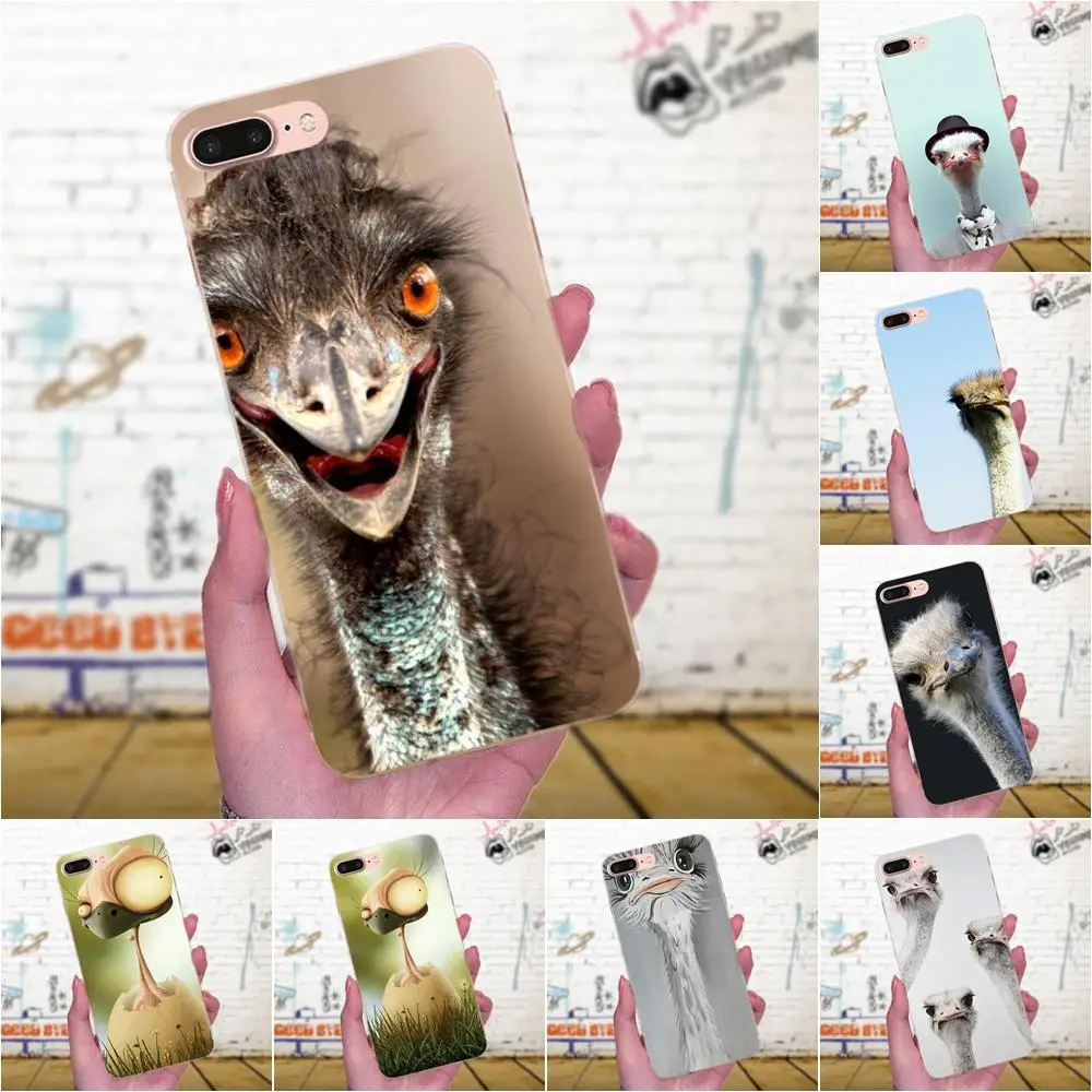 Милый страусиный Птица Животные для Galaxy A3 A5 A7 On5 On7 2015 2016 2017 Grand Alpha G850 Core2 Prime S2 I9082