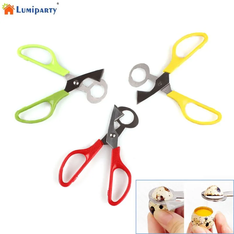 

Quail Egg Shell Scissors Cutters Stainless Steel Blade Scissor Kitchen Tools - Color Random-30