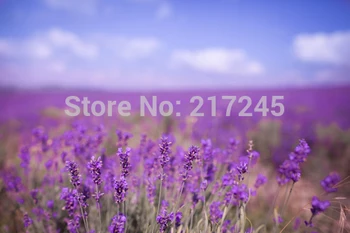 

Art Fabric Photography Backdrop Lavender Custom Photo Prop backgrounds 5ftX7ft D-3122