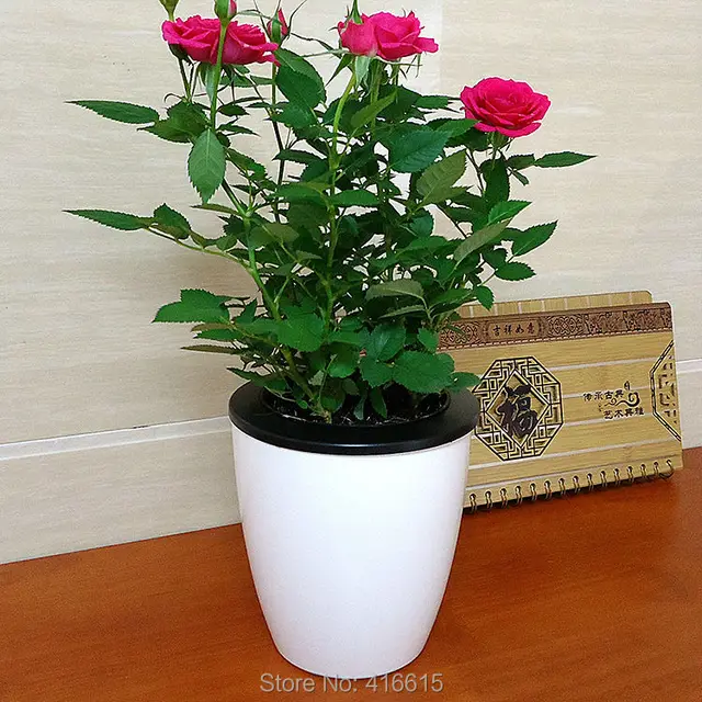 office flower pots decorative plastic automatic watering flower pots lazy planter bonsai round for home office garden desk decor office flower pots decorative plastic automatic watering flower pots lazy planter bonsai round for home office garden desk decor