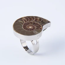 Новинка, популярное кольцо с серебряным покрытием, изменяемое размер, для женщин и мужчин, аммонит, раковина, морская раковина, плоские натуральные каменные окаменелости, кольца, модное ювелирное изделие