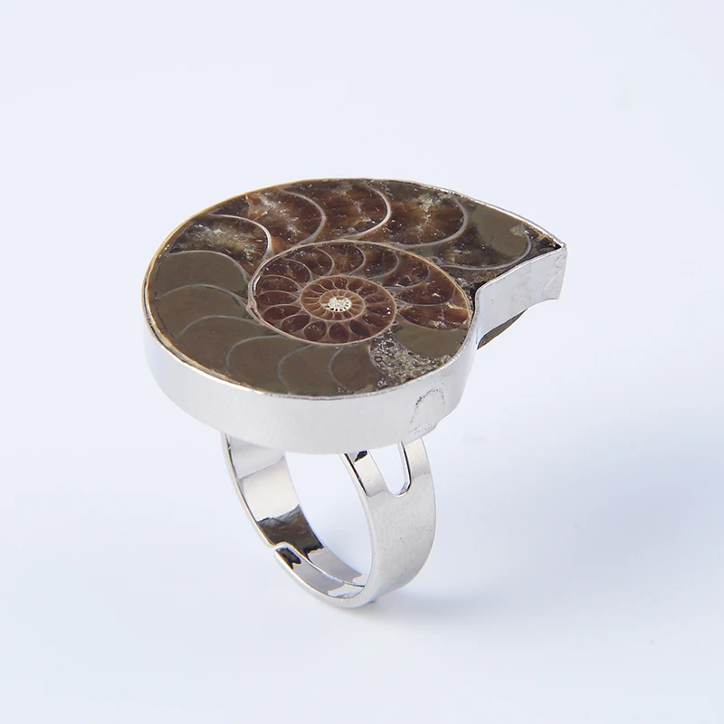 

New Popular Silver Plated Resizable Ring Women Men Ammonite Conch Sea Shell Flat Natural Fossils Stone Rings Fashion Jewelry