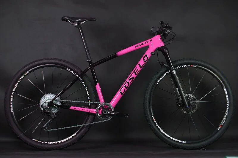 1X11 speed XT Manituo M30 вилка Costelo SOLO 2 горный Mtb велосипед 29er через ось карбоновая рама - Цвет: pink