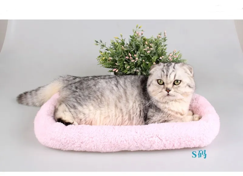 2834462398_806652075_