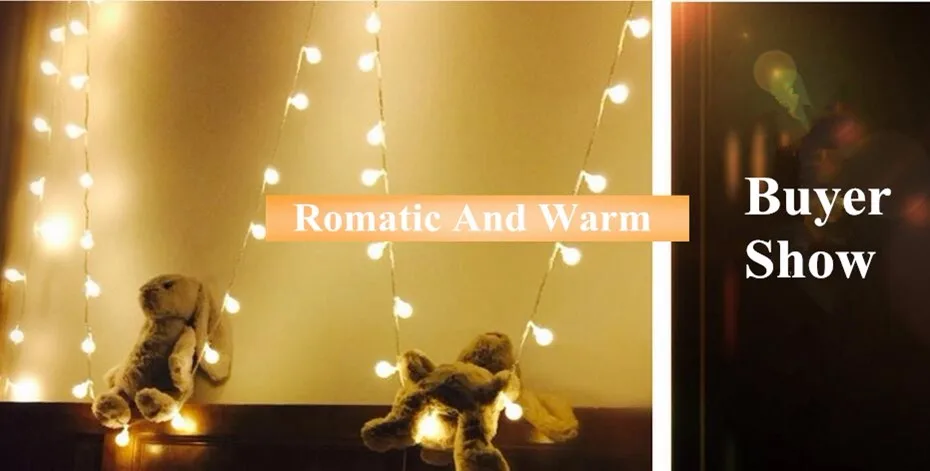 Christmas lights (25)
