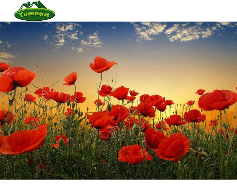 

YUMEART Needlework Diamond Embroidery Red Poppies Flowers Magic Diamond Cross Stitch Crystal Mosaic Kits Home Furnishing YHAll