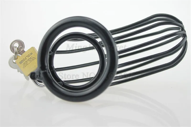 2997859161_1728770533