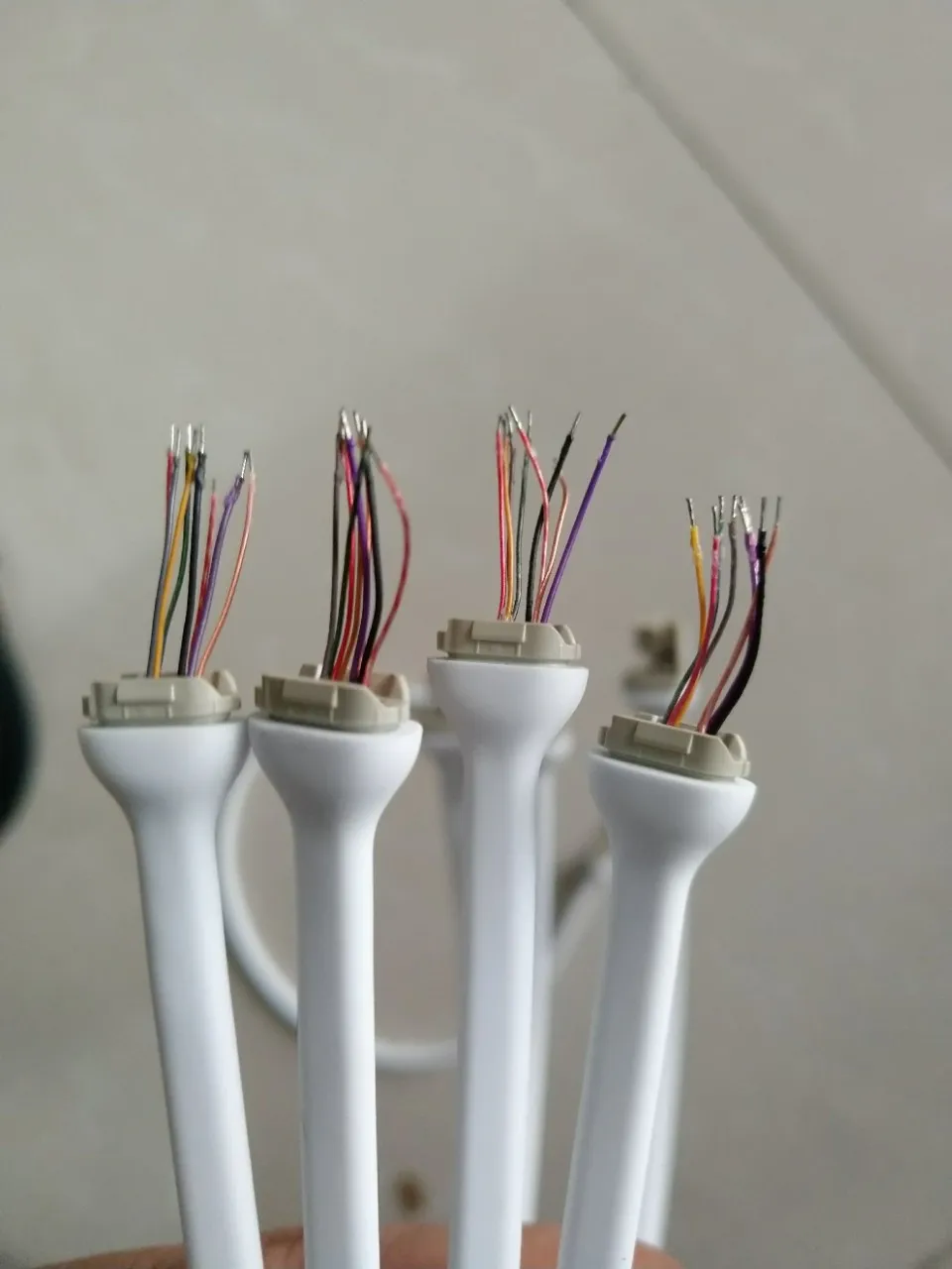 10792887314_281009875