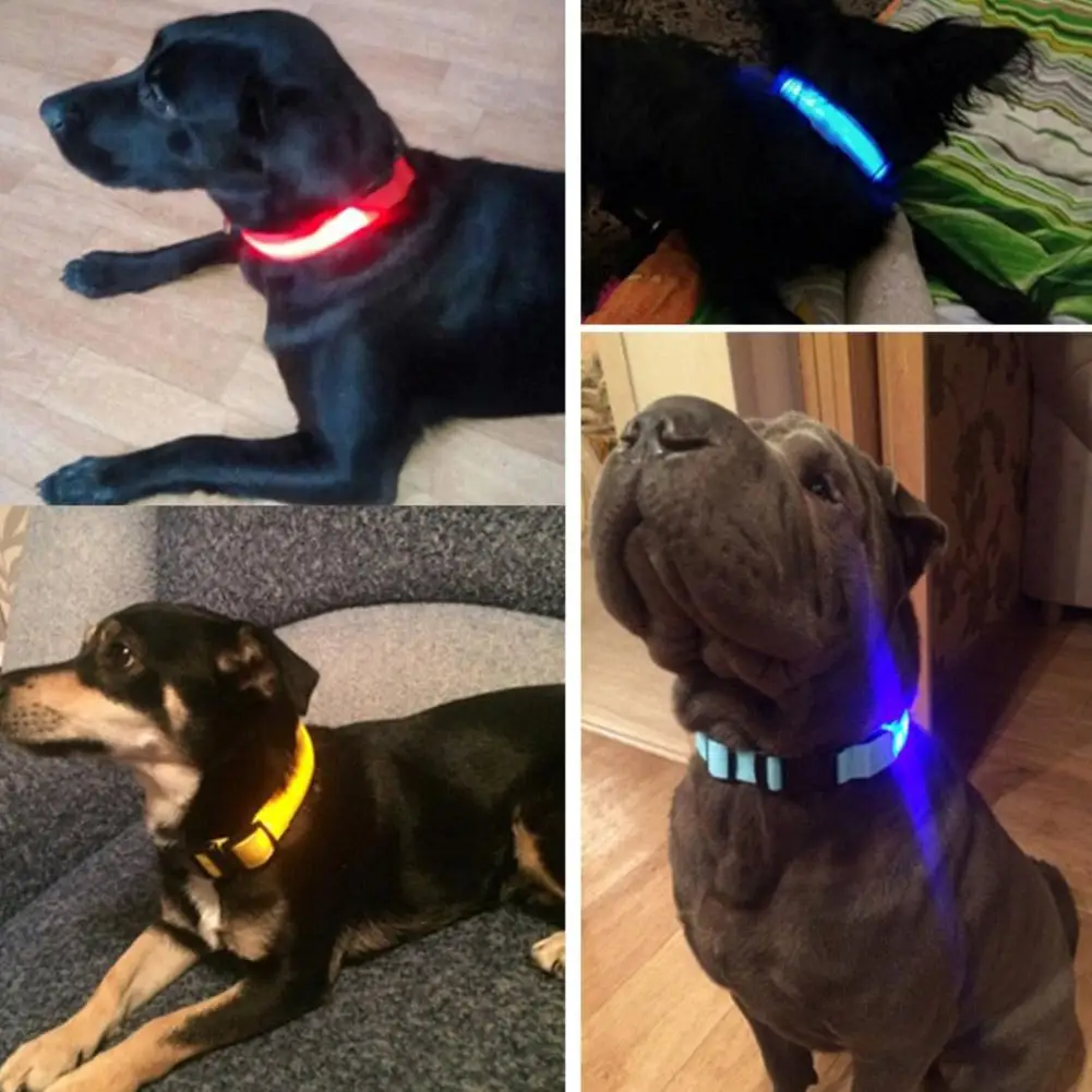 LED Pet Cat Dog Collar Night Safety Luminous Necklaces For Outdoor Walking