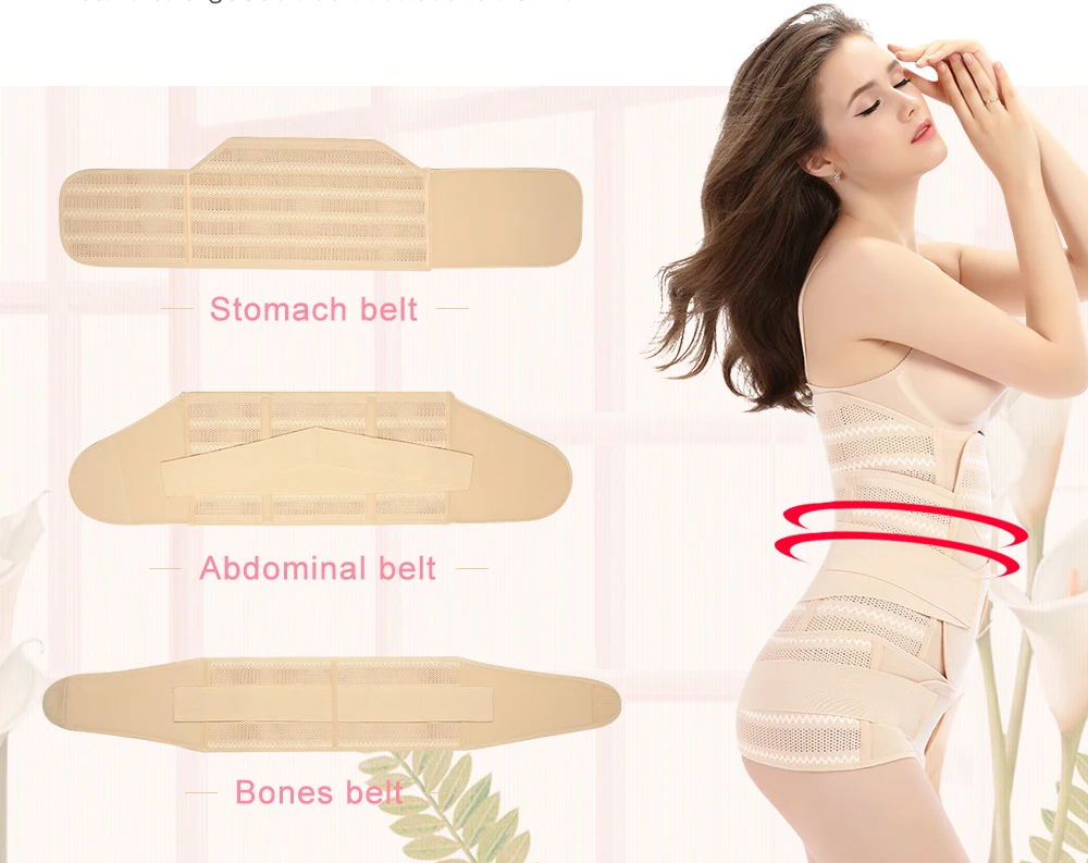  Belly Bands (3)