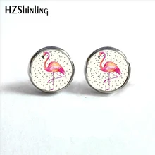 Новое поступление Фламинго серьги-гвоздики стеклянный купол Фламинго круглые ювелирные изделия животные серьги для женщин HZ4