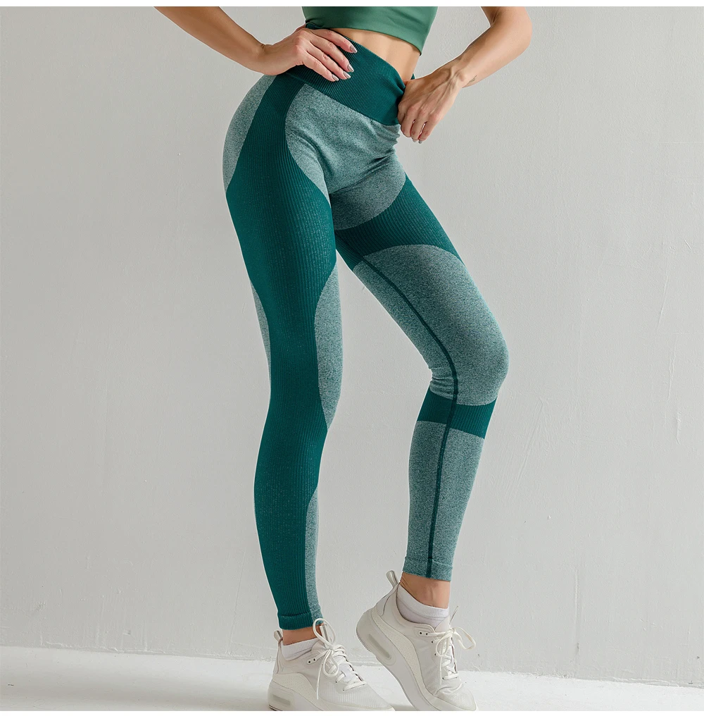 seamless leggings high waisted