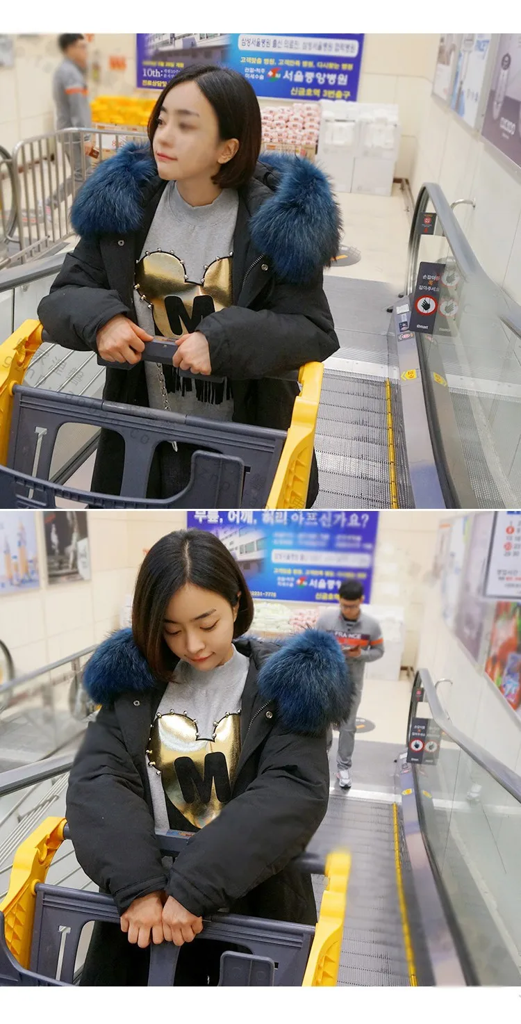 3492813752_231277194