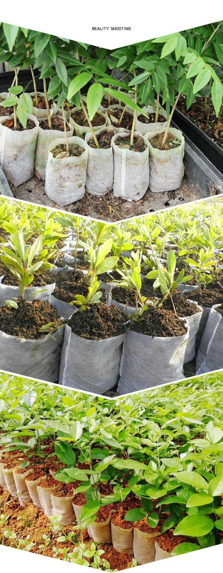 100pcs Biodegradable Plant Grow Non-woven Nursery Bags Eco-Friendly Agriculture Vegetable Seedling Planting Pot