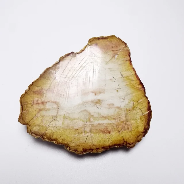 Best Offers High Quality Wood fossil Crystal Specimens NATURAL Stones and Minerals Rock 