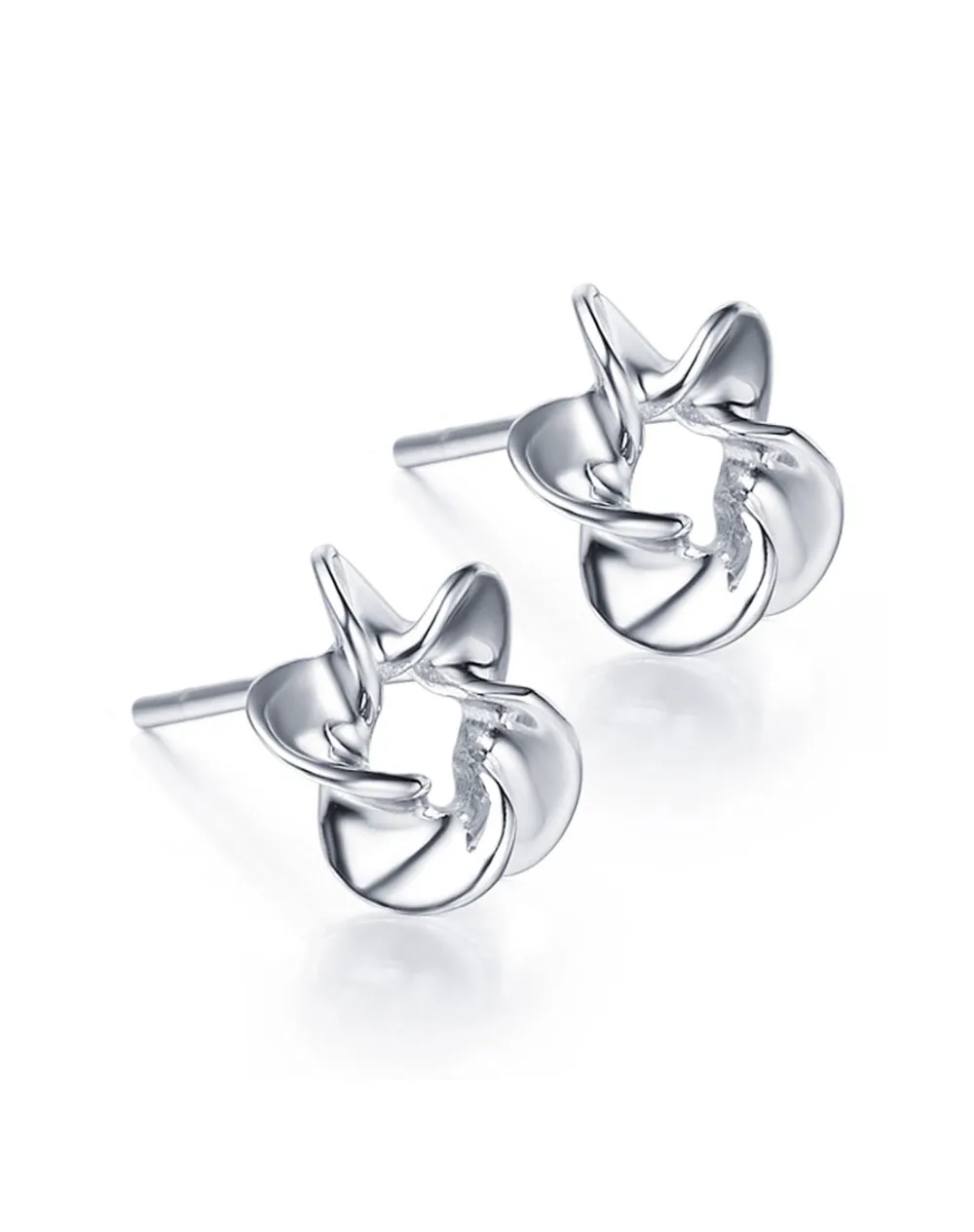 

SCE006 Fashion earrings with box
