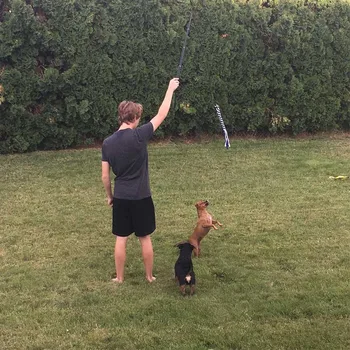 

Extendable Dog Puppy Teaser Pole Stick Rod Bar Outdoor Retractable Pet Dog Cat Pole Training Exercise Rope Toy Pet Supplies