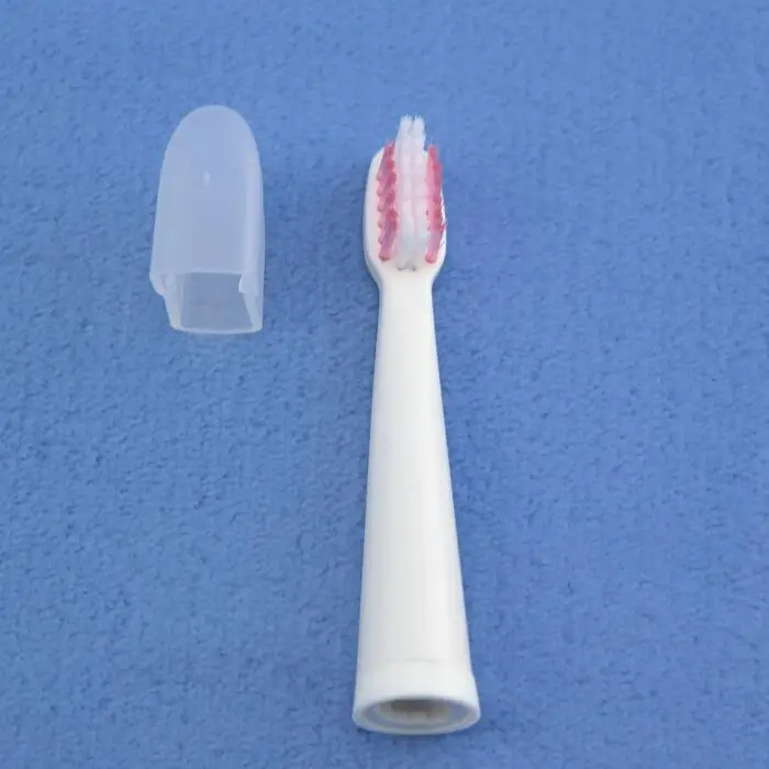 toothbrush head 11