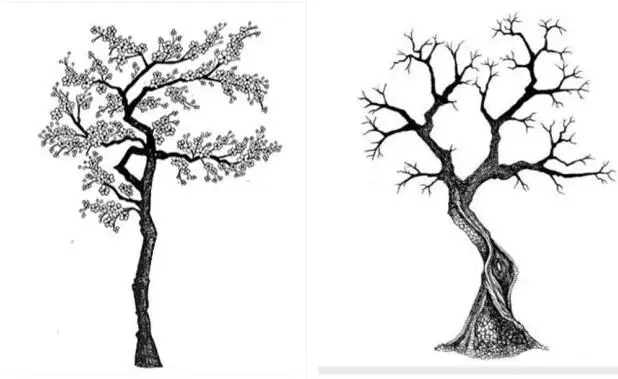 

tree Transparent Clear Stamps for D Clear Stamp Or stamp for DIY Scrapbooking Kids Fun Decoration SuppliesA478