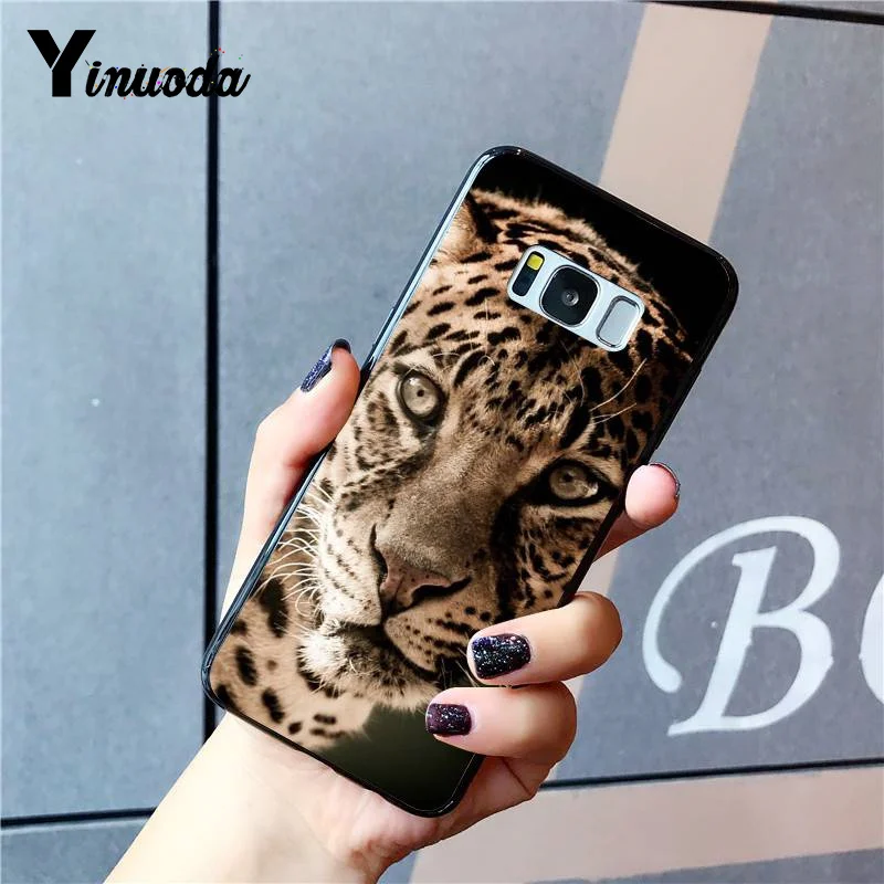Russian version wolf tiger lion Leopard bear animal