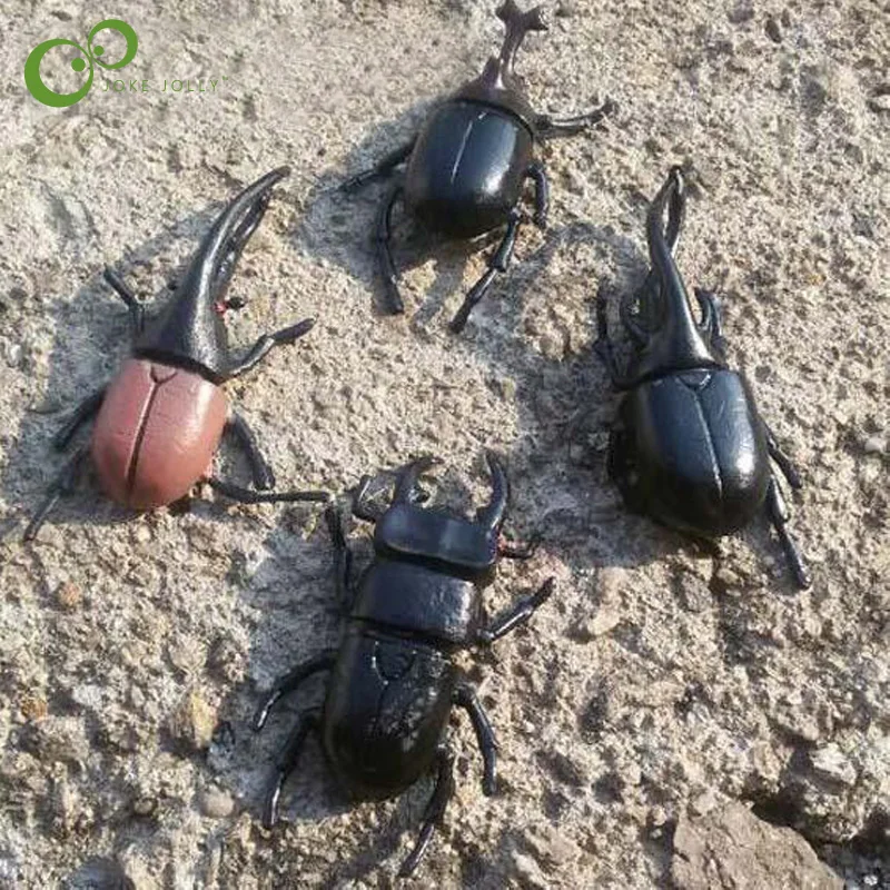 

6pcs/lot 5.5cm simulation beetle Toys Special Lifelike Model Simulation insect Toy nursery teaching aids joke toys WYQ