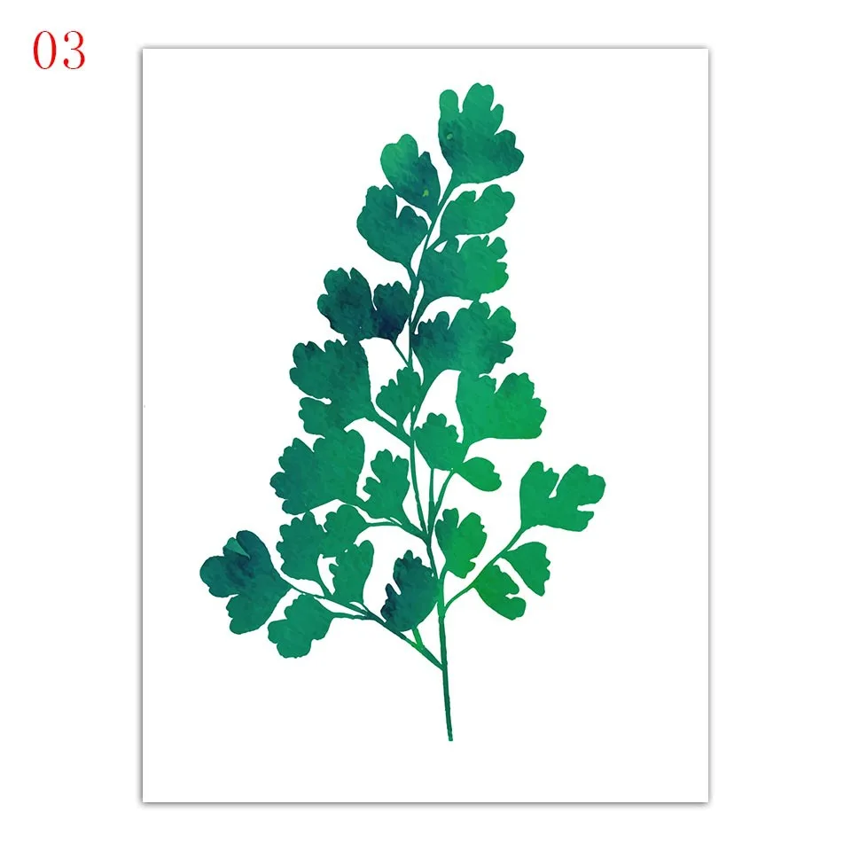 9752906638_1470423515