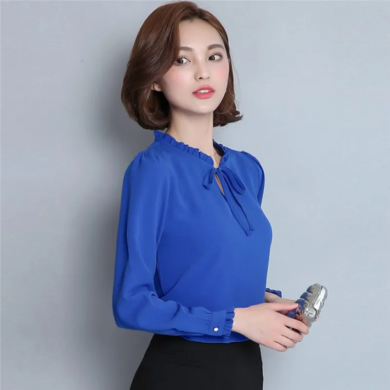 Chiffon Blouse (17)